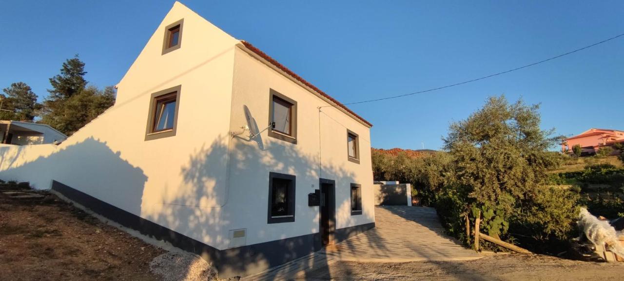 Pomar Das Oliveiras - Private Swimming Pool - Free Ev Chrg - Pet Friendly Carvalhal  Luaran gambar
