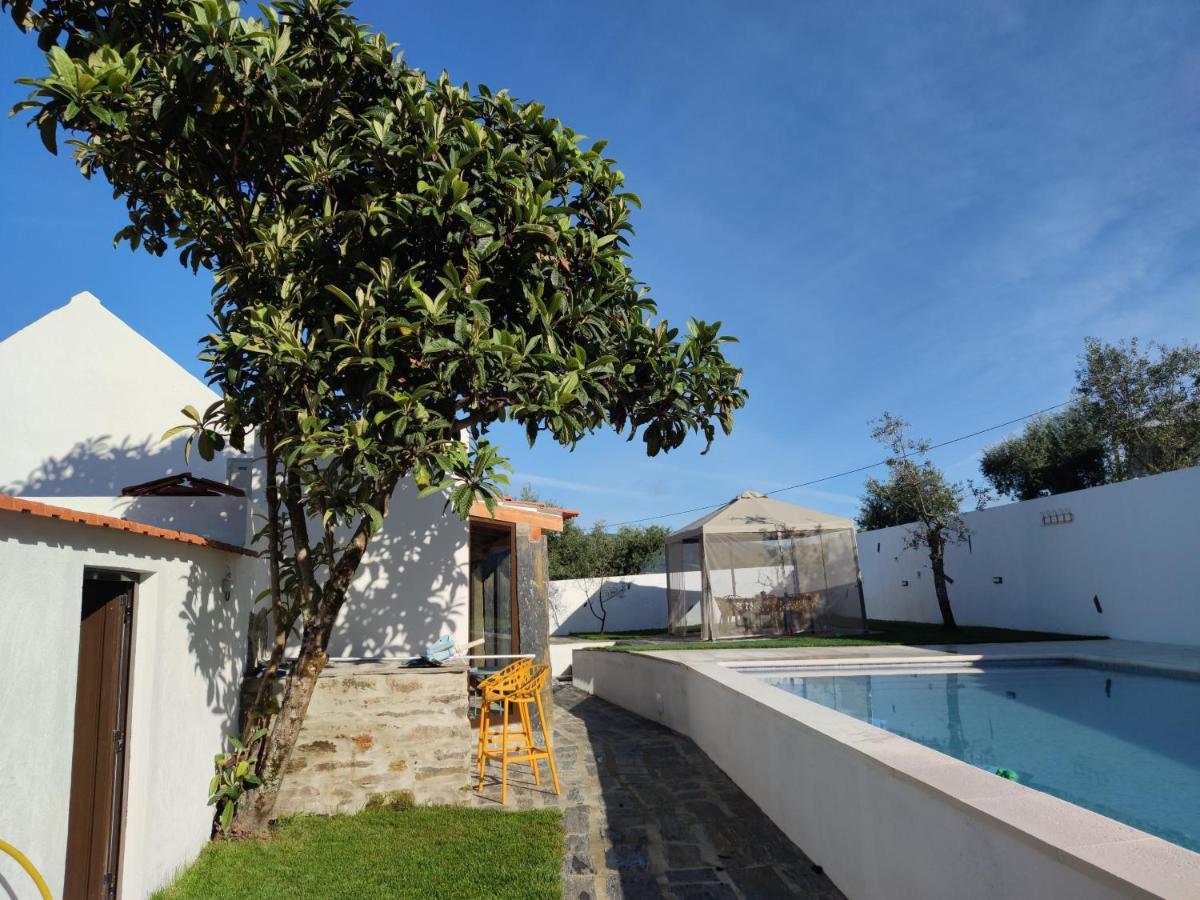 Pomar Das Oliveiras - Private Swimming Pool - Free Ev Chrg - Pet Friendly Carvalhal  Luaran gambar