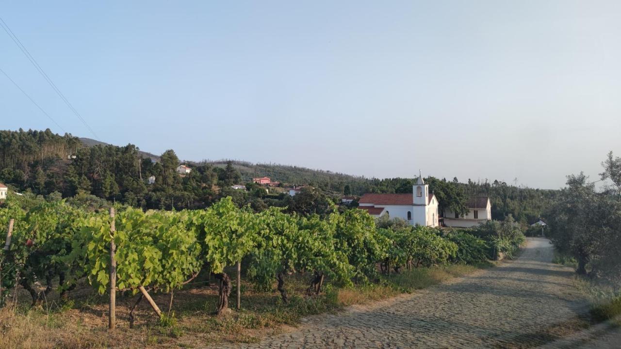Pomar Das Oliveiras - Private Swimming Pool - Free Ev Chrg - Pet Friendly Carvalhal  Luaran gambar
