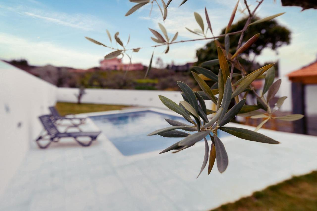 Pomar Das Oliveiras - Private Swimming Pool - Free Ev Chrg - Pet Friendly Carvalhal  Luaran gambar