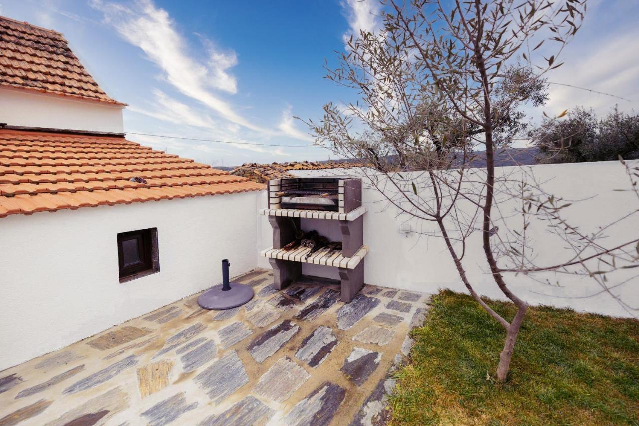 Pomar Das Oliveiras - Private Swimming Pool - Free Ev Chrg - Pet Friendly Carvalhal  Luaran gambar
